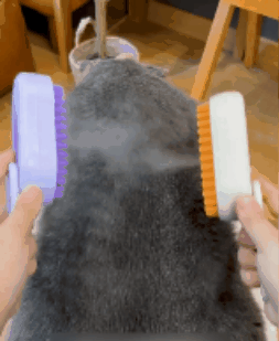 PetGlow Pro Pet Grooming Brush