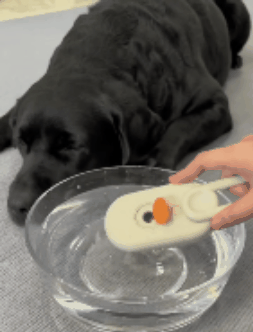 PetGlow Pro Pet Grooming Brush