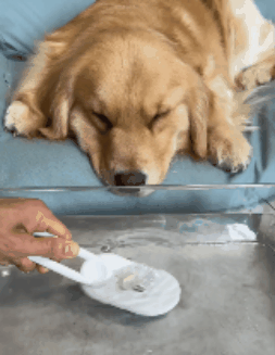 PetGlow Pro Pet Grooming Brush