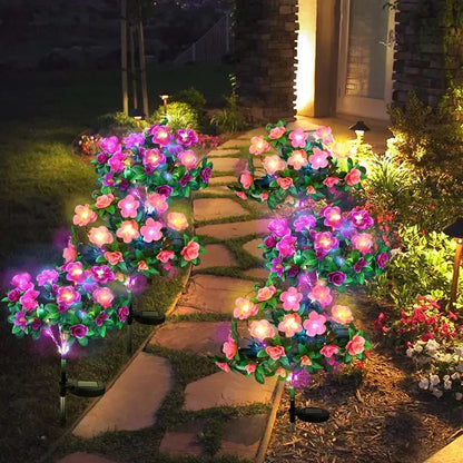 Colorful Solar Garden Lights