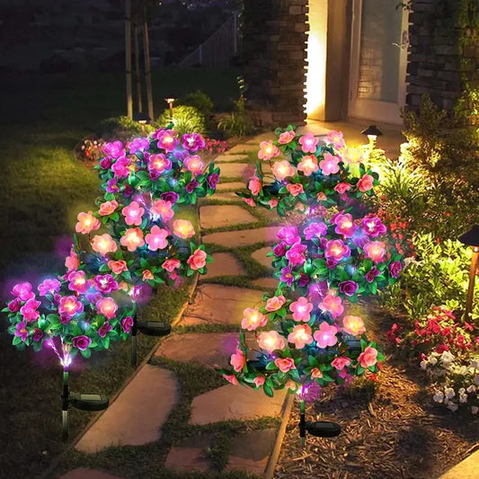 Colorful Solar Garden Lights