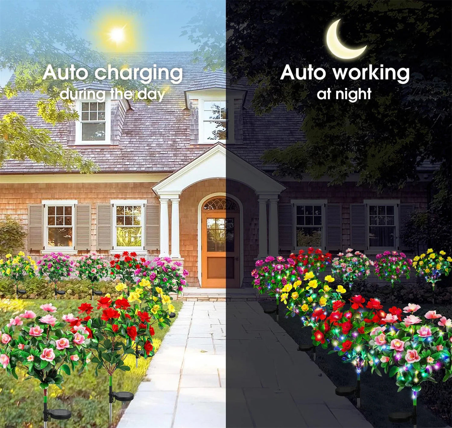 Colorful Solar Garden Lights