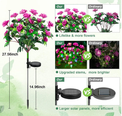 Colorful Solar Garden Lights